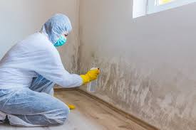 Best Water Damage & Mold Remediation  in Oberlin, LA